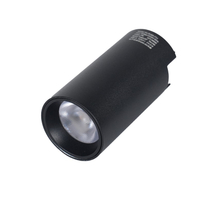 Skyline Decorative Light Series Radiant Light