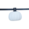 Petal Lamp
