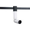 Omni-directional Spotlight